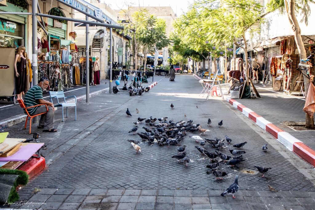 2025 israel00079
